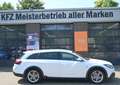 Opel Insignia Insignia Country Tourer 2.0 CDTI Navi AHK Xenon Blanc - thumbnail 5