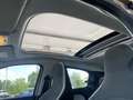 Renault Twingo Dynamique 1.0 / 59TKM KLIMA GBA SHDACH Klima Braun - thumbnail 15