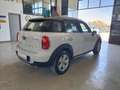 MINI Cooper D Countryman Mini Countryman 2.0 Cooper D all4 Business auto E6 Bianco - thumbnail 7