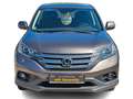 Honda CR-V Elegance2WD*KAMERA*AHK*TEMPOMAT*WINTERPAKET Brun - thumbnail 3