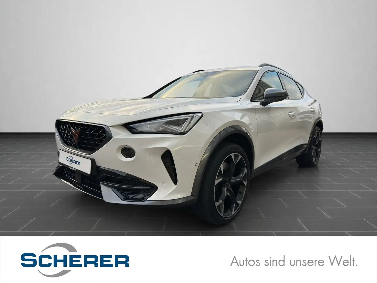 CUPRA Formentor 2.0 TSI LED PANO NAVI KLIMA Weiß - 1