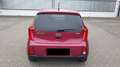 Kia Picanto 1.0 1. Hd. Klima Alu Tüv neu 07/2027 Violett - thumbnail 6