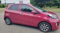 Kia Picanto 1.0 1. Hd. Klima Alu Tüv neu 07/2027 Violett - thumbnail 2