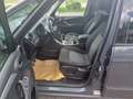 Ford Galaxy Galaxy Ambiente 1,8 TDCi Ambiente, Pickerl neu Grau - thumbnail 10