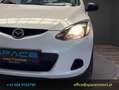 Mazda 2 Mazda2 1,3i CE Pro Weiß - thumbnail 10