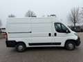 Peugeot Boxer 33 L2H2 Pro BlueHDi 130*1 Besitz*MwSt.*wenig KM Weiß - thumbnail 3