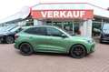 Ford Kuga ST Line X FHEV AHK-Panoramadach - Black Package/Ma Grün - thumbnail 2