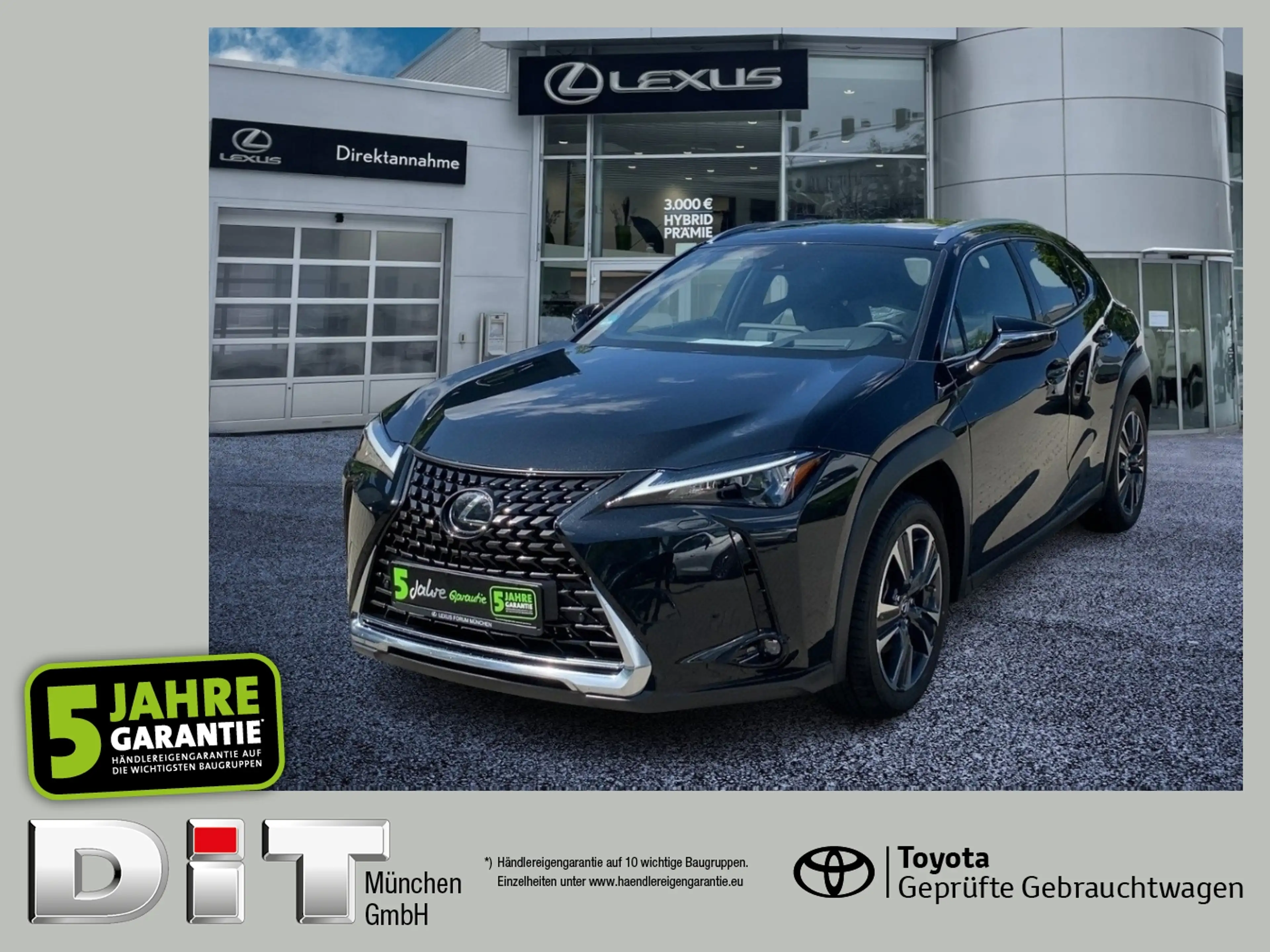 Lexus UX 250h UX 250 h Executive Line zuverlässiger Crossover
