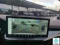 Ford Kuga 2.5 Duratec PHEV Sound Edition 4x2 Blanco - thumbnail 15