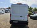 Ford Transit 350 L2H2 Lkw VA Trend Weiß - thumbnail 4