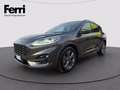 Ford Kuga 2.0 ecoblue ST-Line 2wd 120cv auto Grau - thumbnail 1