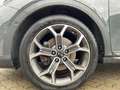 Kia XCeed Platinum Edition Grau - thumbnail 6
