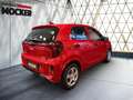 Kia Picanto Edition 7 2024 Rot - thumbnail 12