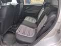 Fiat Punto Evo Punto Evo 5p 1.3 mjt MyLife s - thumbnail 12
