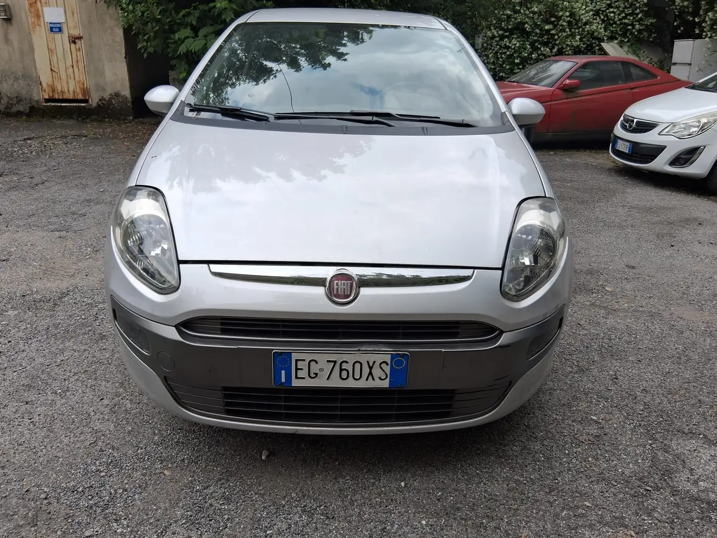 Fiat Punto Evo Punto Evo 5p 1.3 mjt MyLife s - 1