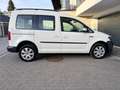 Volkswagen Caddy Trendline BMT 2.0 TDI  122 PS 4Motion Weiß - thumbnail 7