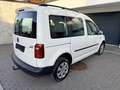 Volkswagen Caddy Trendline BMT 2.0 TDI  122 PS 4Motion Weiß - thumbnail 4