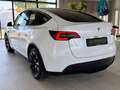 Tesla Model Y Maximale Reichweite Dual AWD Weiß - thumbnail 4