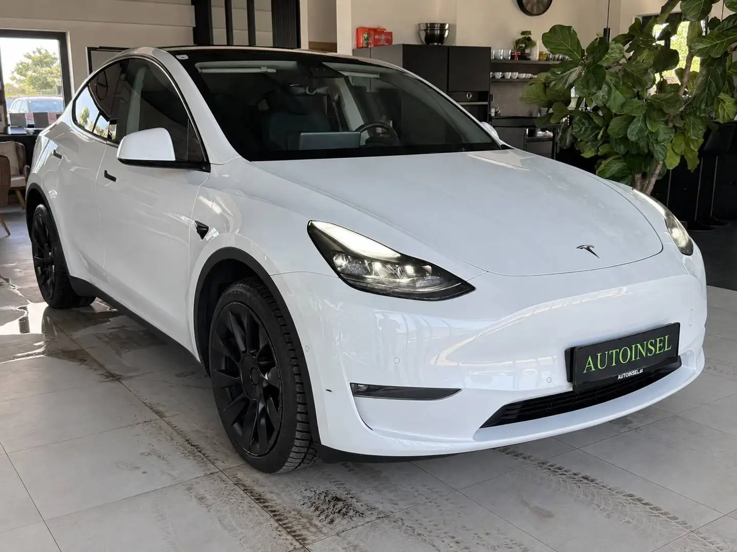 Tesla Model Y Maximale Reichweite Dual AWD Weiß - 2