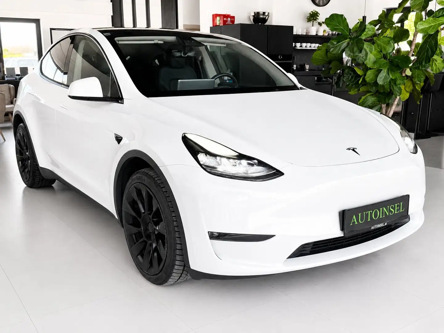 Tesla Model Y Maximale Reichweite Dual AWD Weiß - 2