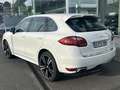 Porsche Cayenne Diesel 245 Aut. Wit - thumbnail 3