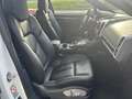 Porsche Cayenne Diesel 245 Aut. Wit - thumbnail 12