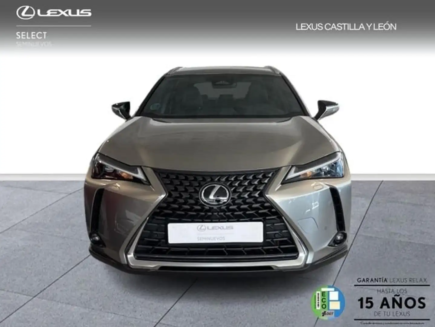 Lexus UX 300h + Grau - 2