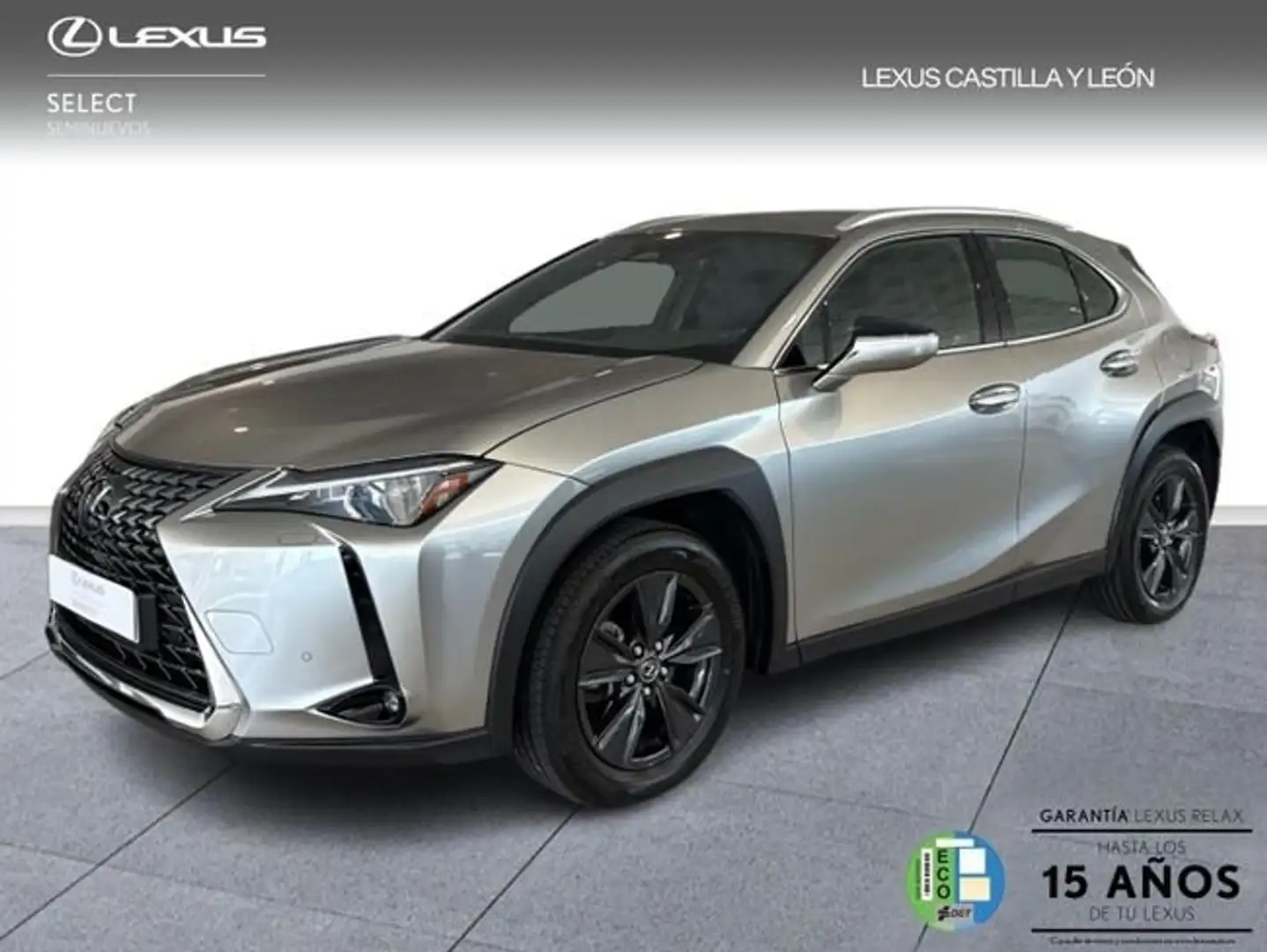 Lexus UX 300h + Grau - 1