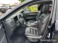 Renault Koleos Initiale Paris Blue dCi 185 X-tronic 4WD Schwarz - thumbnail 5