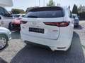 Mazda CX-60 Homura Hybrid AWD LEDER Blanc - thumbnail 5