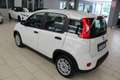 Fiat Panda 1.0 FireFly S&S Hybrid Blanc - thumbnail 6
