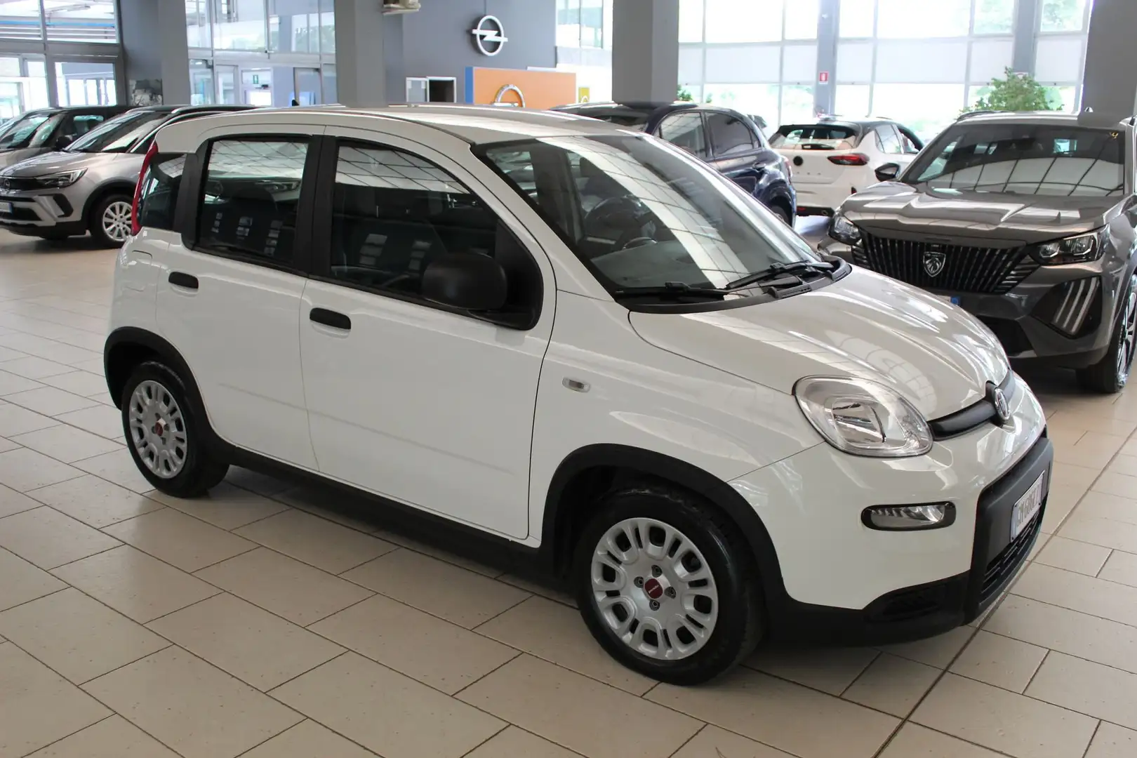 Fiat Panda 1.0 FireFly S&S Hybrid Blanc - 2