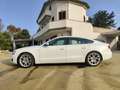 Audi A5 Sportback 2.0 tdi Advanced Bianco - thumbnail 5