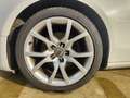 Audi A5 Sportback 2.0 tdi Advanced Bianco - thumbnail 11
