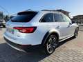 Audi A4 allroad A4 allroad 2.0 TDI 190 CV S tronic Business Evolut Blanc - thumbnail 7