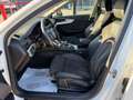Audi A4 allroad A4 allroad 2.0 TDI 190 CV S tronic Business Evolut Blanc - thumbnail 9