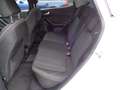 Ford Fiesta 1.0, Klimatr., PDC, Navi, SHZ, 1.Hand Weiß - thumbnail 12