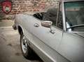 Alfa Romeo Spider Spider - Fastback Grey - thumbnail 36