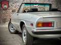 Alfa Romeo Spider Spider - Fastback Gris - thumbnail 41