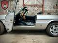 Alfa Romeo Spider Spider - Fastback Gris - thumbnail 10