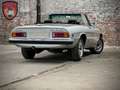 Alfa Romeo Spider Spider - Fastback Grey - thumbnail 4