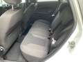 Ford Fiesta Fiesta VI5p 1.5 tdci Titanium 75cv GARANZIA 1 ANNO Blanc - thumbnail 9