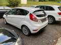 Ford Fiesta Fiesta VI5p 1.5 tdci Titanium 75cv GARANZIA 1 ANNO Blanc - thumbnail 3
