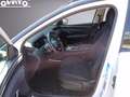 Hyundai TUCSON NEW 1.6HEV AT 230 EXELLENCE 21 Bianco - thumbnail 10