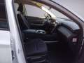 Hyundai TUCSON NEW 1.6HEV AT 230 EXELLENCE 21 Bianco - thumbnail 12