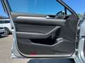 Volkswagen Passat Variant Business 2,0 TDI DSG Silber - thumbnail 30