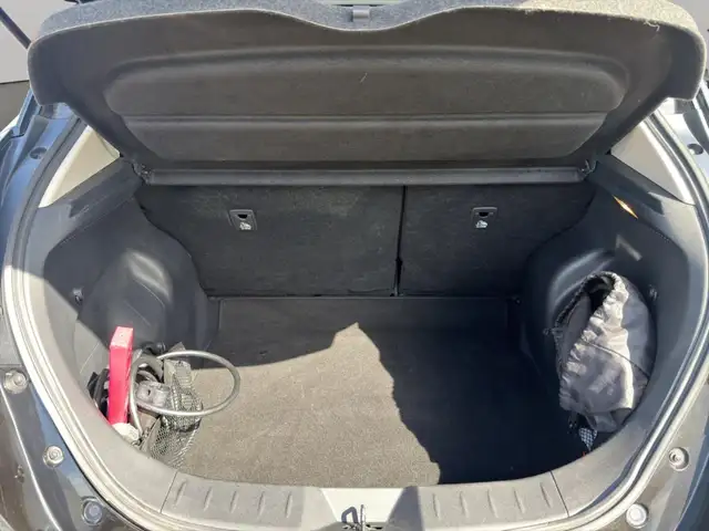 Nissan Leaf view 6