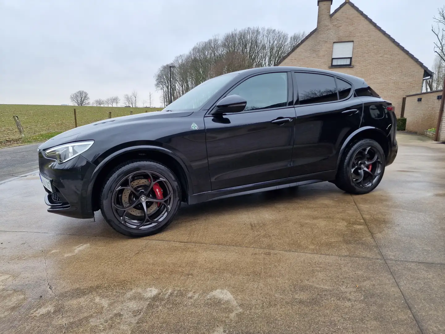 Alfa Romeo Stelvio QV/ Harman Cardon/Akrapovic/Alarm/Anti-theft. Noir - 2