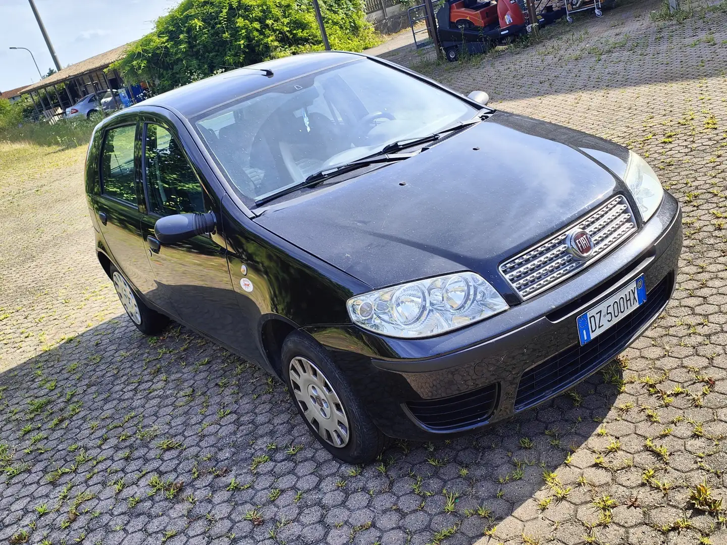 Fiat Punto 5p 1.2 Active Gpl 🎖️UNICO PROPRIETARIO🎖️ Nero - 2