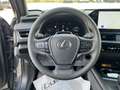 Lexus UX 300h UX 300h 4WD F-Design Gris - thumbnail 10